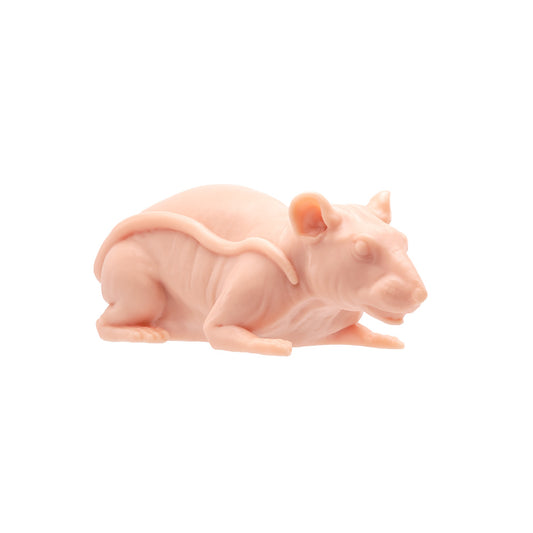 A Pound of Flesh Tattooable Naked Rat A Pound of Flesh Tattooable Naked Rat